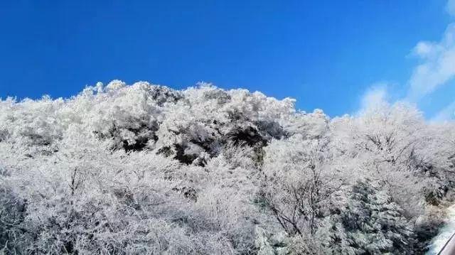 桂林全州警方力擒3名“蜂蜜大盗” 挽损6万余元