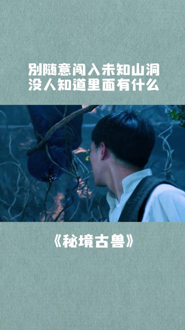绯雨骑士团