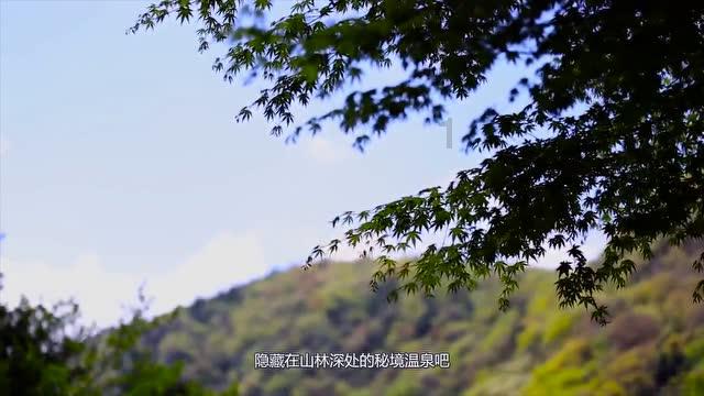 燃烧吧大脑免广告最新版