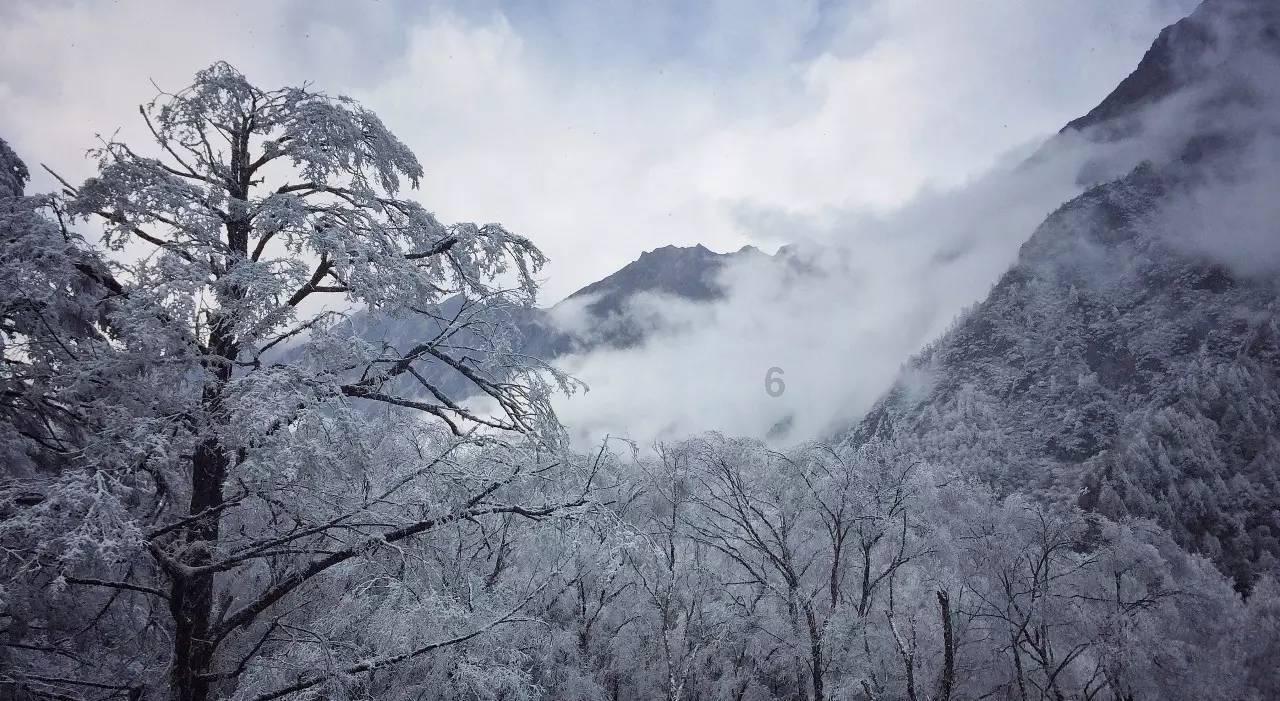 逃离幻想金字塔