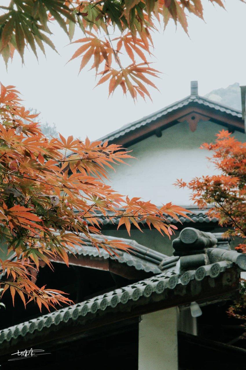 红色系