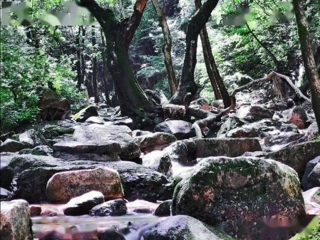 央行同日宣布降准“降息”，一文梳理