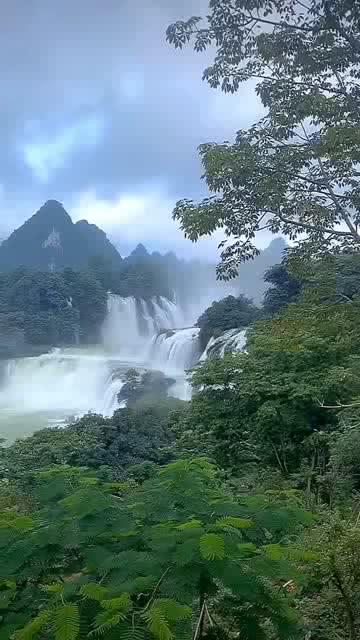 你好邻居