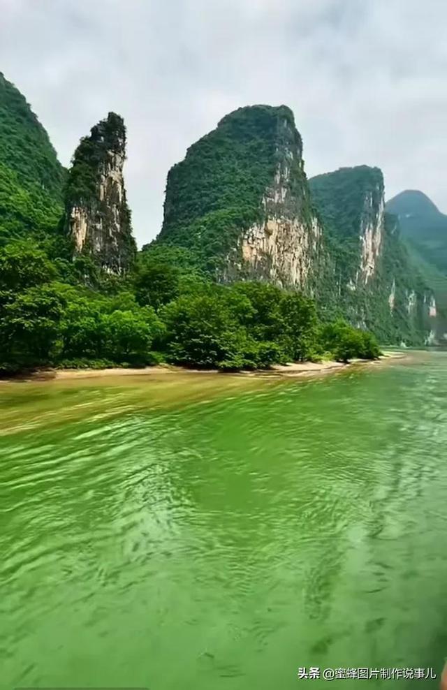 昆明动物园:计划近期将猫移出猴山,随后将对猫开展全面体检
