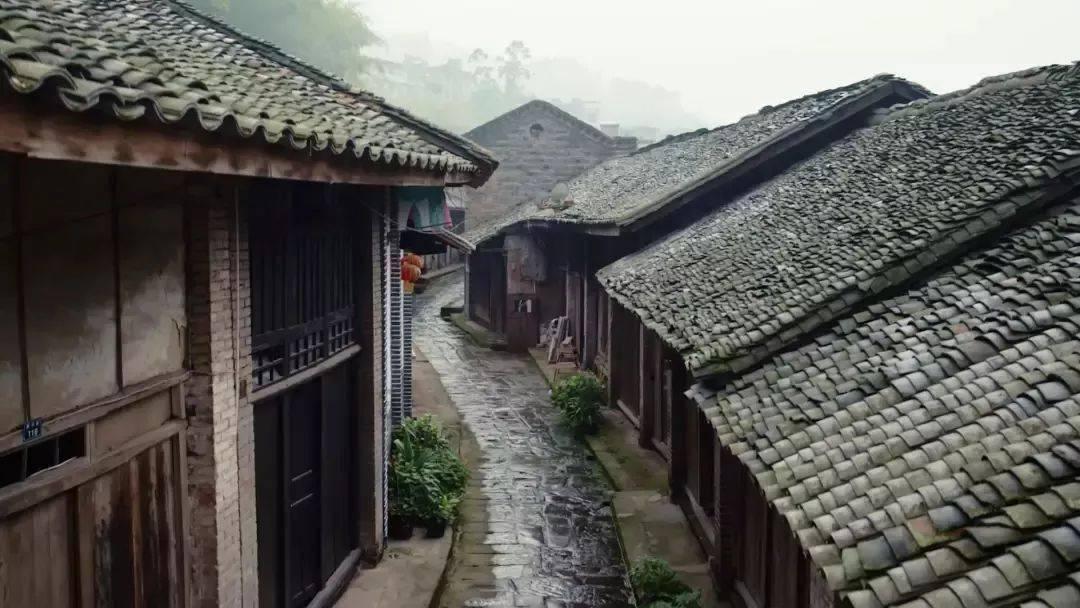 王睿泽27+9 杨瀚森11+10 罗切斯特34+7+10 青岛加时险胜天津